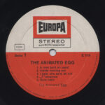 The Animated Egg-2