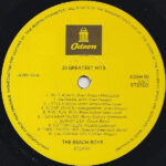 The Beach Boys-2