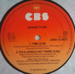 Bonnie Tyler-3