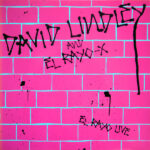 David Lindley And El Rayo-X-0