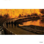 Bruce Hornsby And The Range-1
