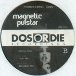 Magnetic Pulstar-0