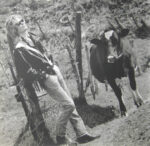 Daryl Hall-1