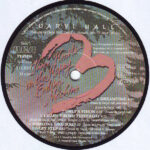 Daryl Hall-3