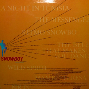 Snowboy & The Latin Section-1