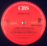 Bonnie Tyler Duet With Todd Rundgren-3