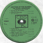 De Kilima Hawaiians-2