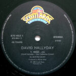 David Hallyday-2