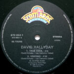 David Hallyday-3