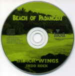 Black Wings (4)-2