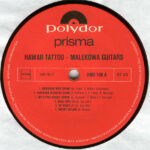 Malekowa Guitars-2