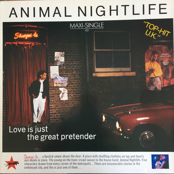 Animal Nightlife-0