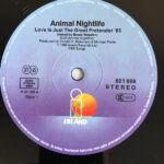 Animal Nightlife-2