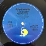 Animal Nightlife-3