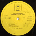 Albert Hammond-4