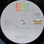 Little Steven And The Disciples Of Soul-3