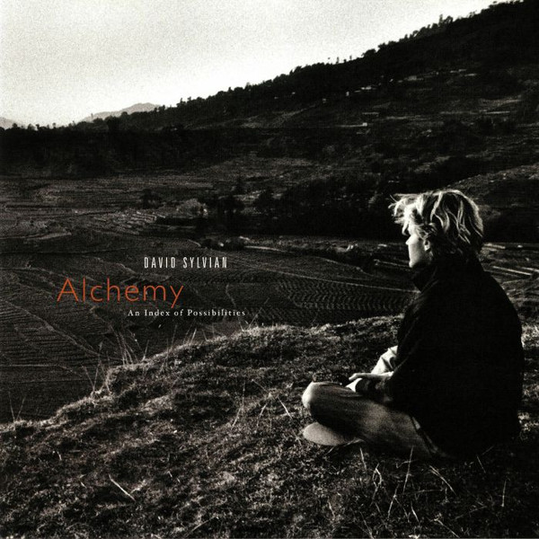 David Sylvian-0