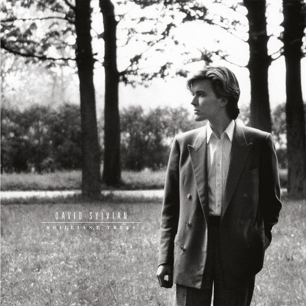 David Sylvian-0