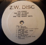 Lord Antics & The Merry Boys-3