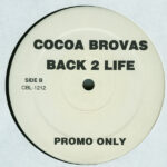 Cocoa Brovaz-1