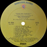 Eric Weissberg And Steve Mandell-3