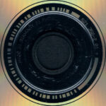 Die Flippers-4