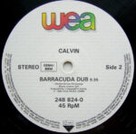 Calvin (7)-4