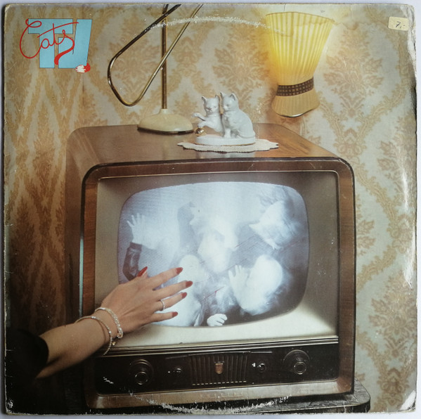 Cats TV-0