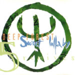 Deep Forest-0