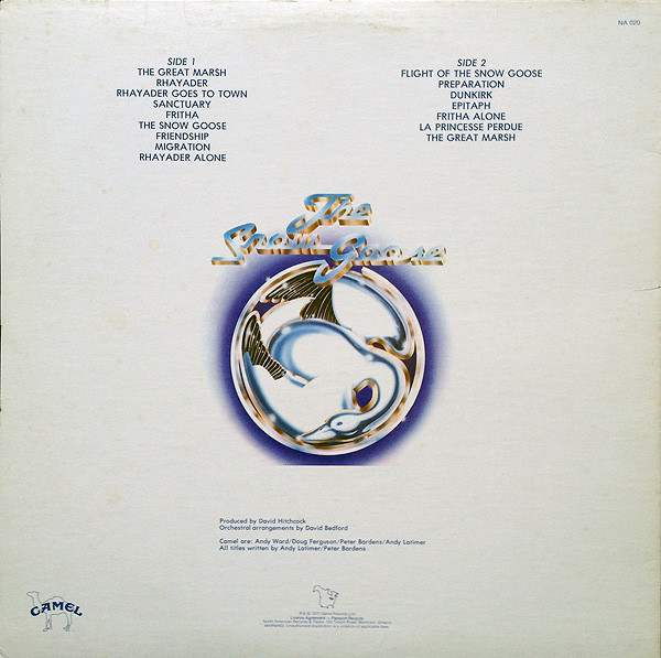 Camel-1