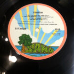 Dave Mason-4