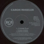 Caron Wheeler-3
