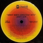 Andy Kim-4