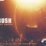 Bush-0