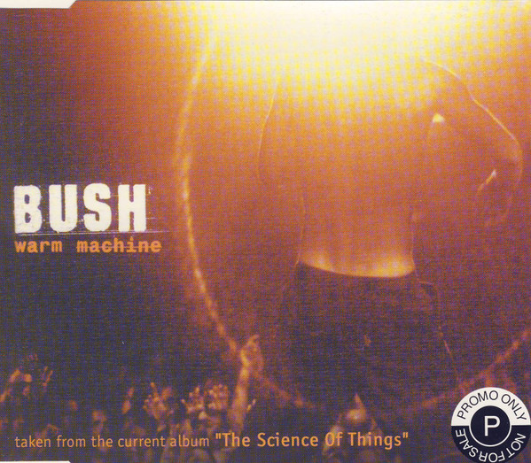 Bush-0