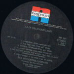 Bill Brookers Jugband-2