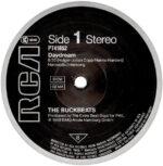 Buckbeats-2