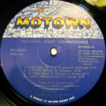 Commodores-2