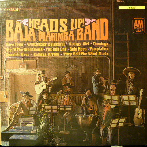 Baja Marimba Band-0
