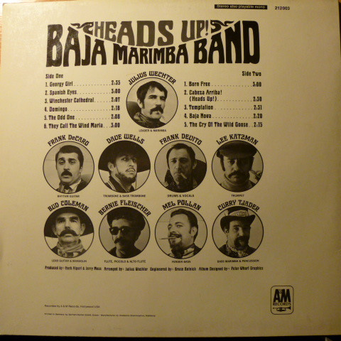Baja Marimba Band-1