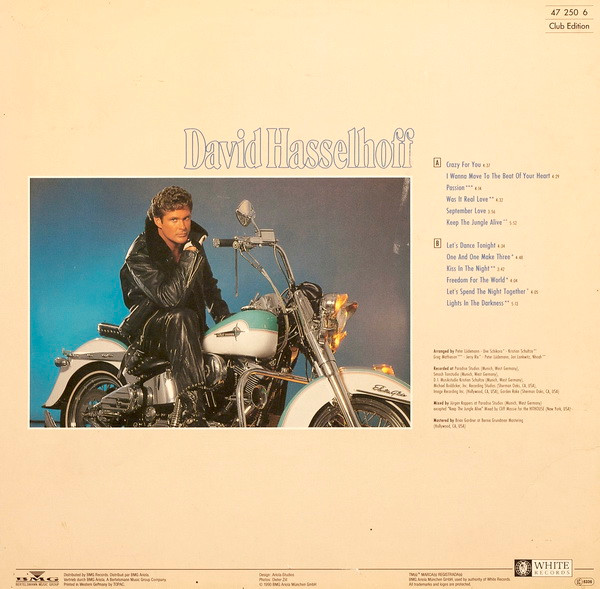 David Hasselhoff-1