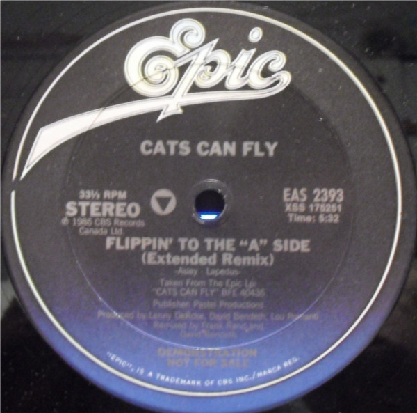 Cats Can Fly-0