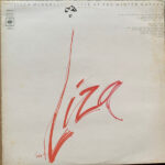 Liza Minnelli-0