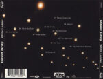 David Gray-1