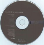 David Gray-2