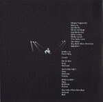 David Gray-4