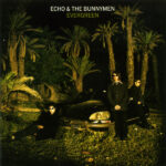 Echo & The Bunnymen-0