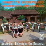 Ansamblul Tineretului Din București-0