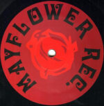 DJ Roxy-1