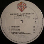 Ladysmith Black Mambazo-2